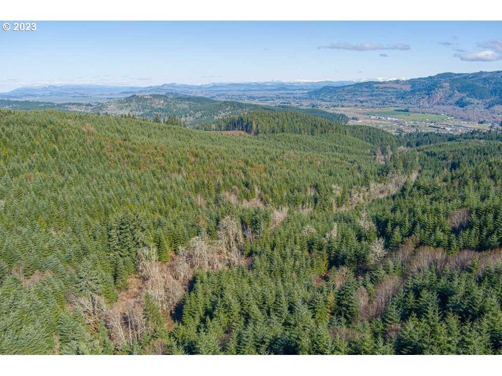 0 Turkey Run Road Creswell, OR 97426 - Photo 11 of 21 a view of an outdoor space with a lake view