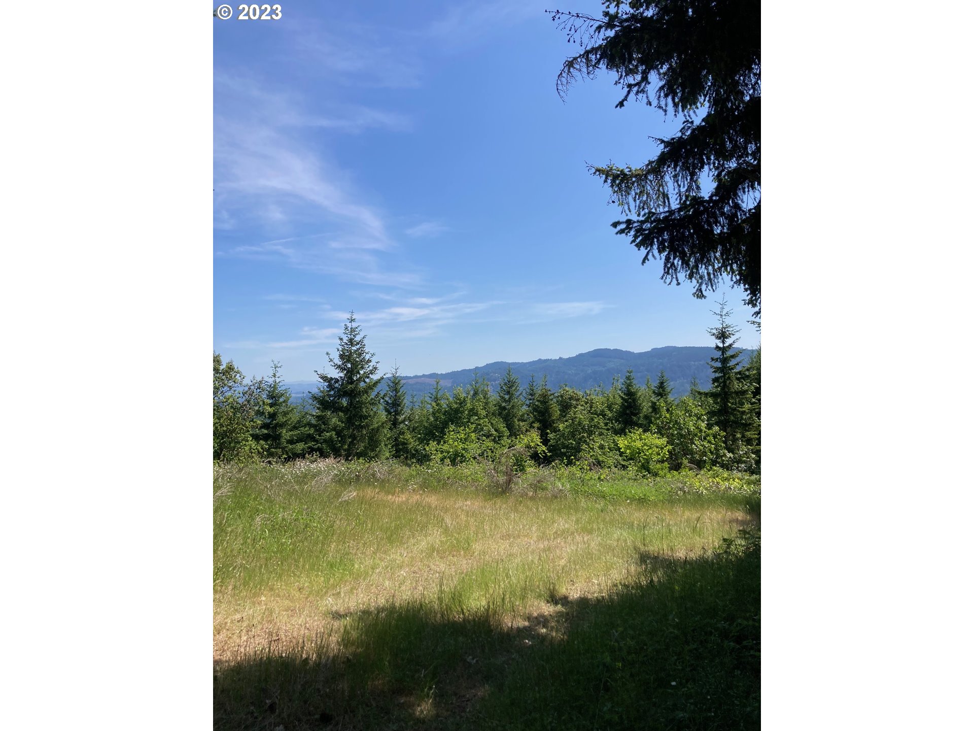 0 Turkey Run Road Creswell, OR 97426 - Photo 13 of 21 a view of a lake from a balcony