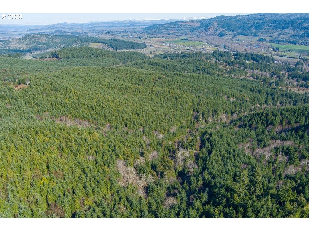 0 Turkey Run Road Creswell, OR 97426 - Photo 2 of 21 a view of a lush green field