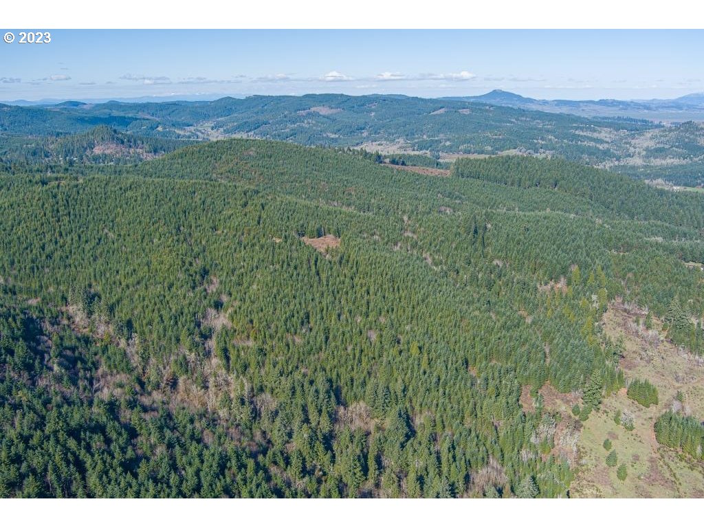 0 Turkey Run Road Creswell, OR 97426 - Photo 3 of 21 a view of a lush green hillside and green houses