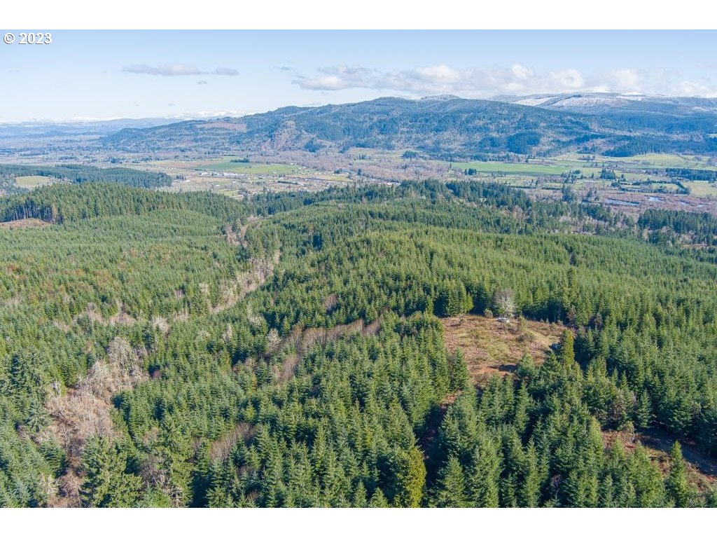 0 Turkey Run Road Creswell, OR 97426 - Photo 5 of 21 a view of a lush green field with an outdoor space