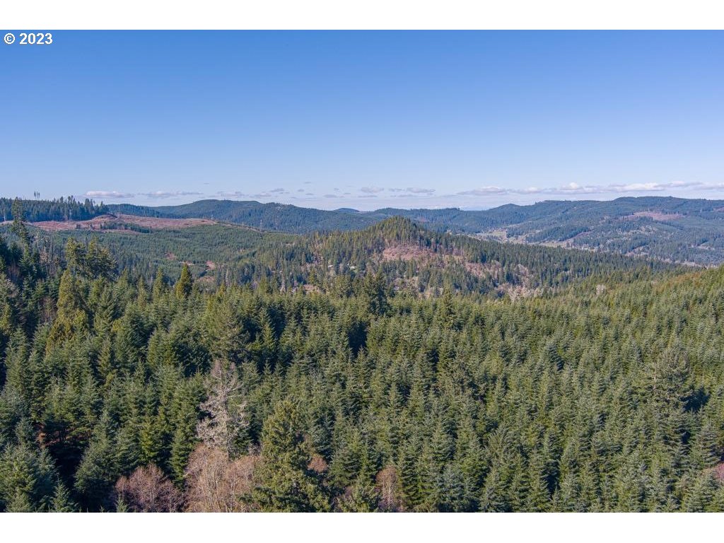 0 Turkey Run Road Creswell, OR 97426 - Photo 6 of 21 a view of a lush green hillside and a mountain
