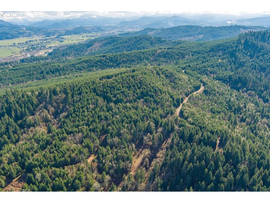 0 Turkey Run Road Creswell, OR 97426 - Photo 7 of 21 a view of a lush green field