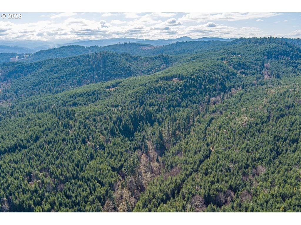 0 Turkey Run Road Creswell, OR 97426 - Photo 8 of 21 a view of an ocean and beach