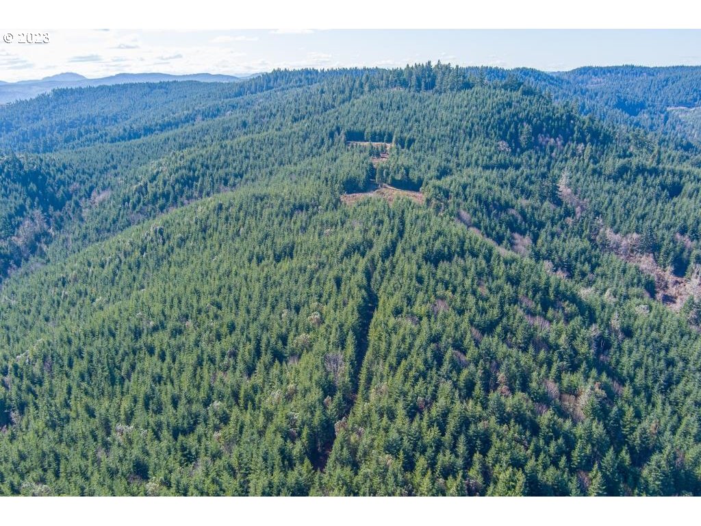 0 Turkey Run Road Creswell, OR 97426 - Photo 9 of 21 a view of a lush green field