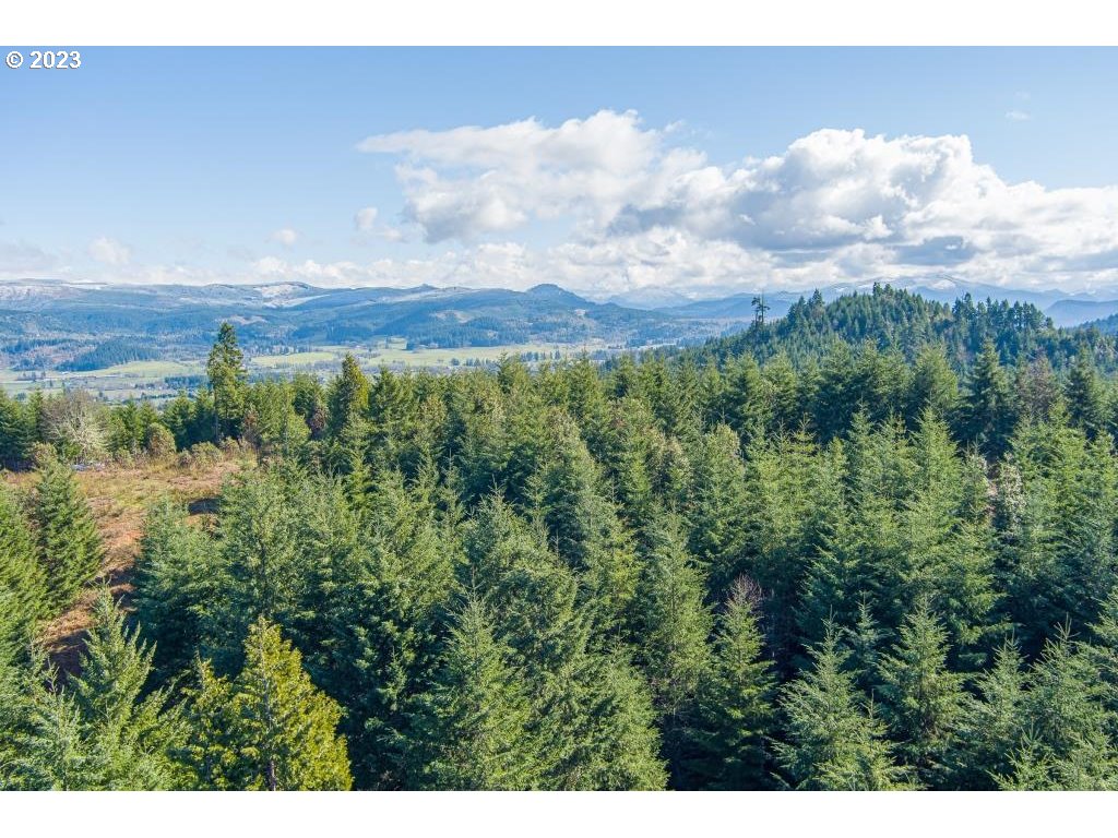 0 Turkey Run Road Creswell, OR 97426 - Photo 10 of 21 a view of a bunch of trees and bushes