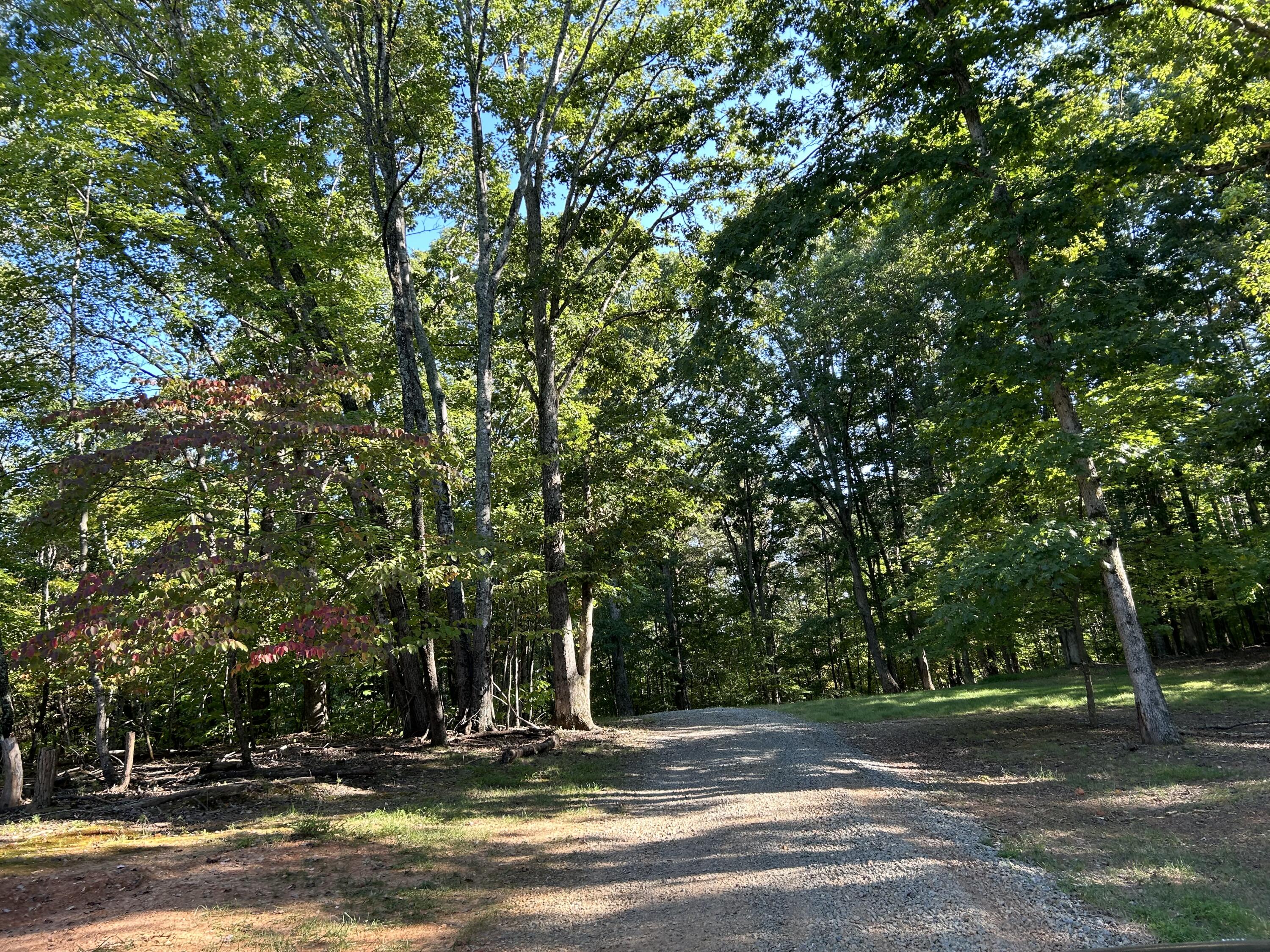 7775 Brights Road Pittsville, VA 24139 - Photo 60 of 64 IMG_8617