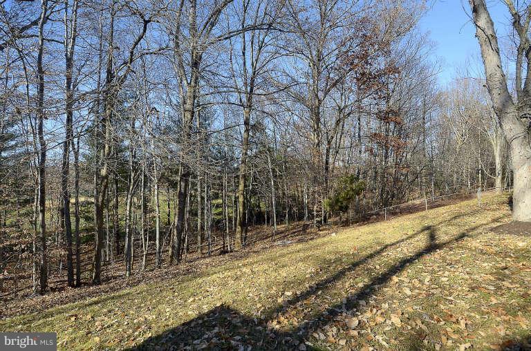 13536 Delaney Road Woodbridge, VA 22193 - Photo 23 of 25 Exterior (Rear)