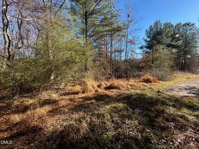a view of a yard with plants and trees
