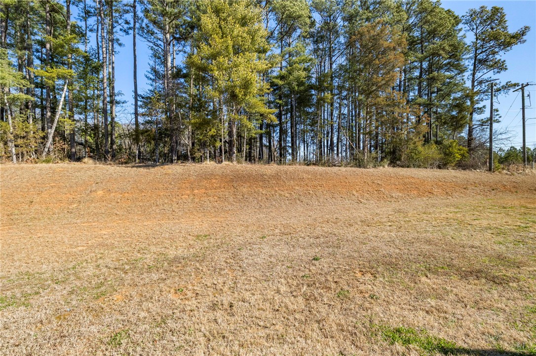 506 Roan Creek Trail Anderson, SC 29621 - Photo 29 of 33 This expansive lot offers a serene setting with a backdrop of mature trees.
