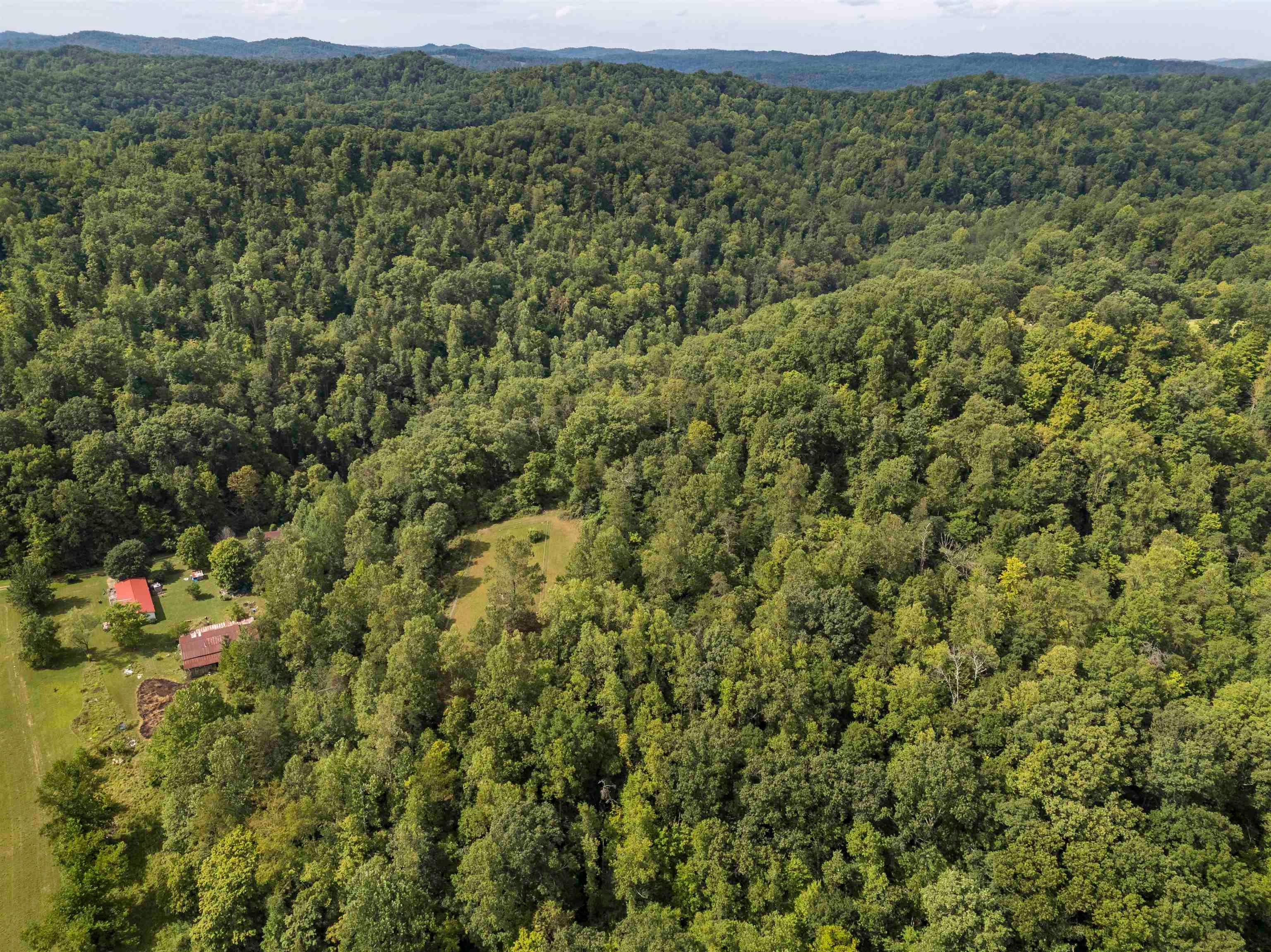 1 Raccoon Creek Road Branchland, WV 25506 - Photo 6 of 16 Gallery Image 6