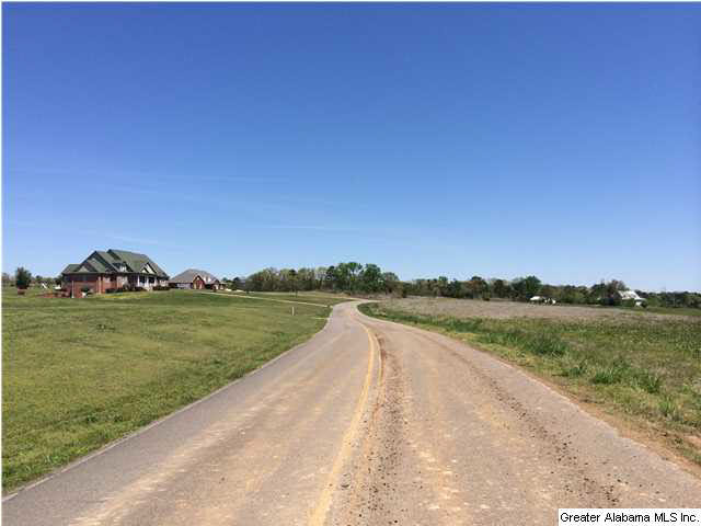 3970 Tanner Road, Unit 10 ACRES Dora, AL 35062 - Photo 7 of 7