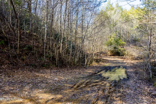 $49,000 | Raymond Way, Cosby, TN 37722