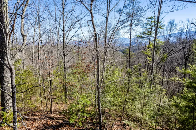 $49,000 | Raymond Way, Cosby, TN 37722