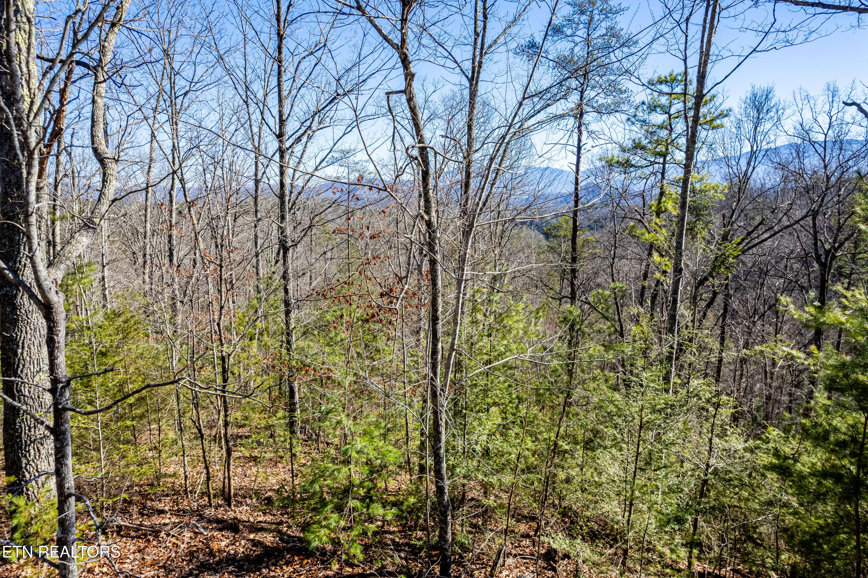 Raymond Way Cosby, TN 37722 - Photo 6 of 10 Raymond way, Cosby-23