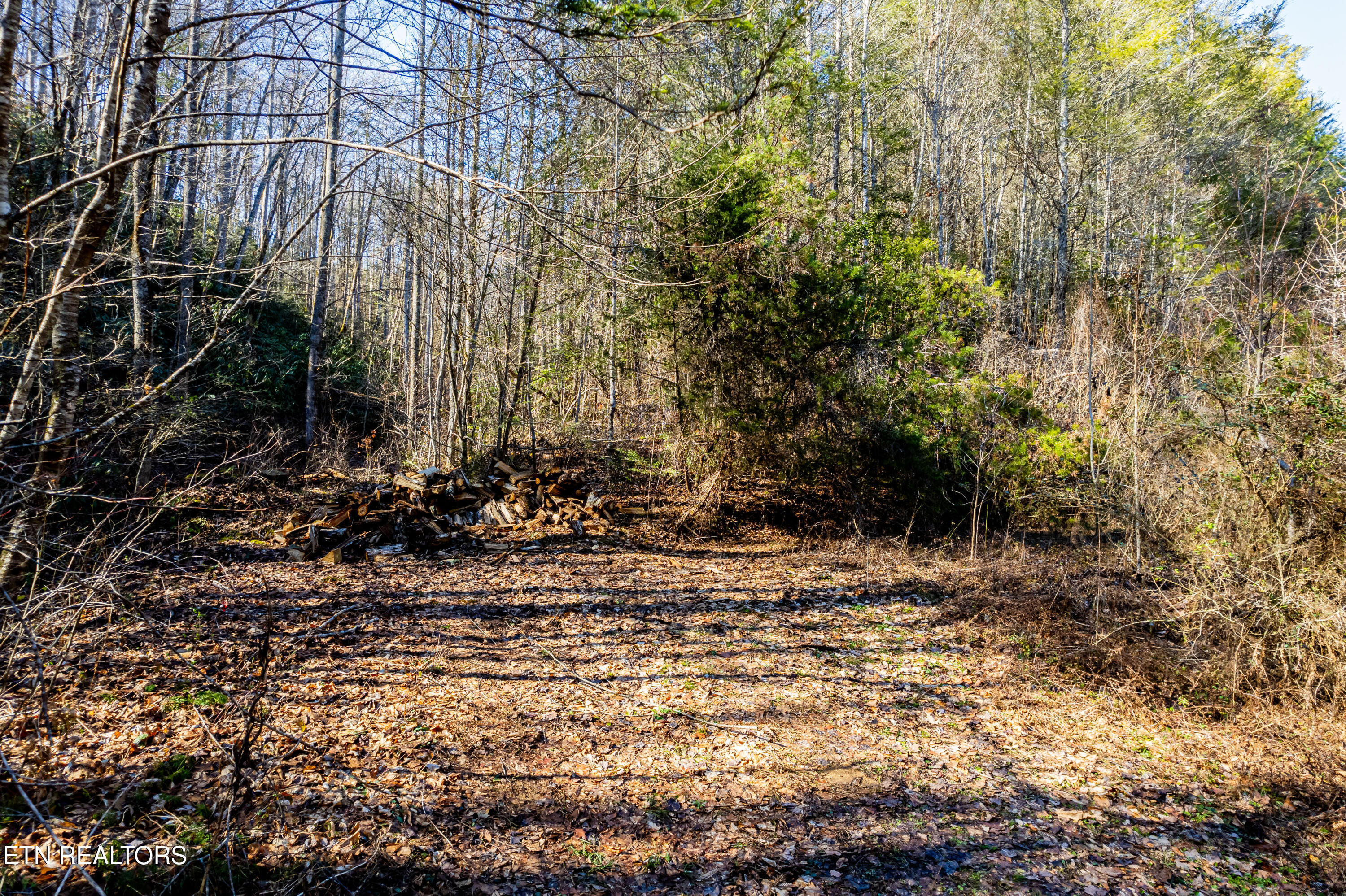 Raymond Way Cosby, TN 37722 - Photo 7 of 10 Raymond way, Cosby-2