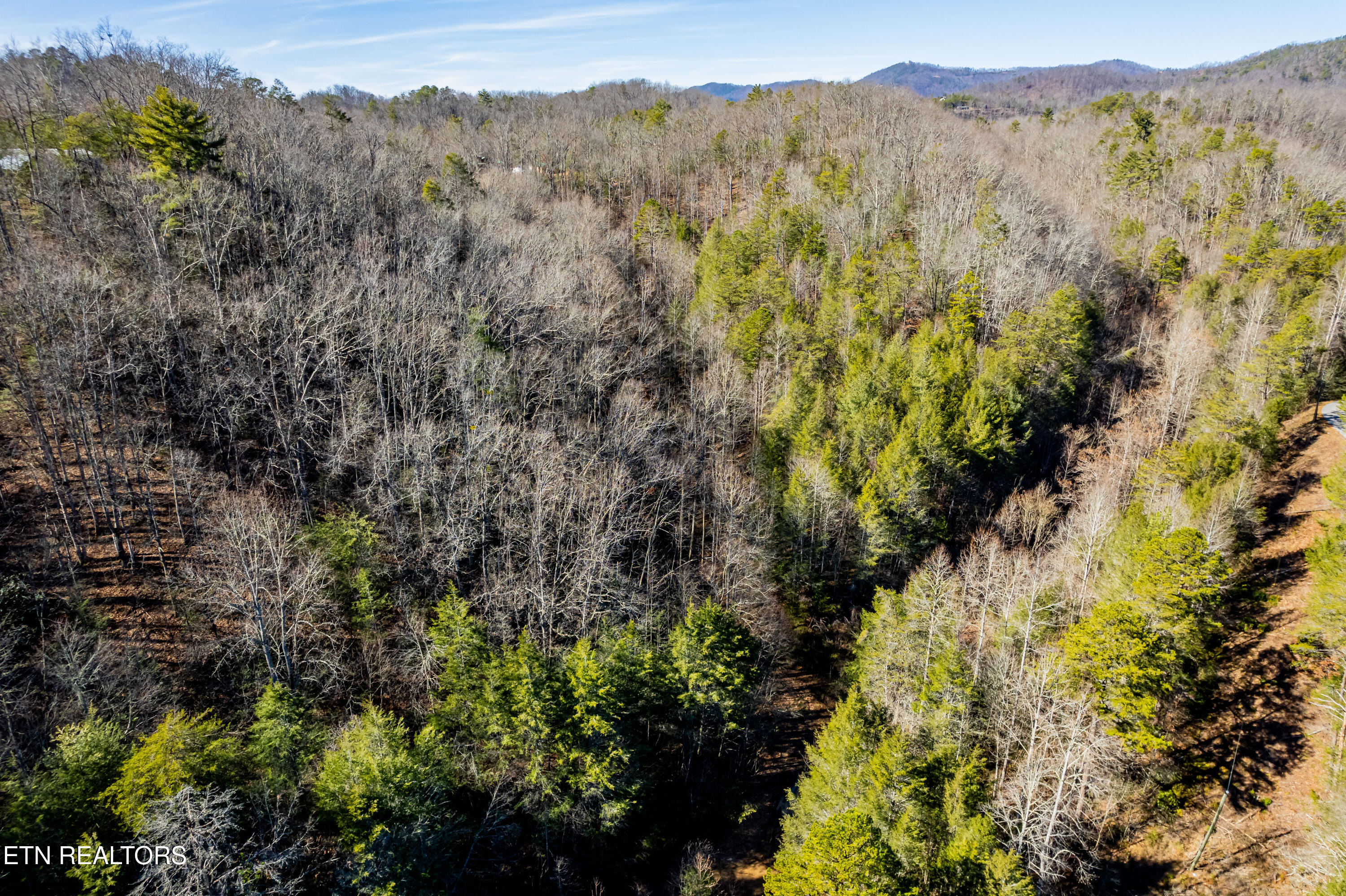 Raymond Way Cosby, TN 37722 - Photo 8 of 10 Raymond way, Cosby-3