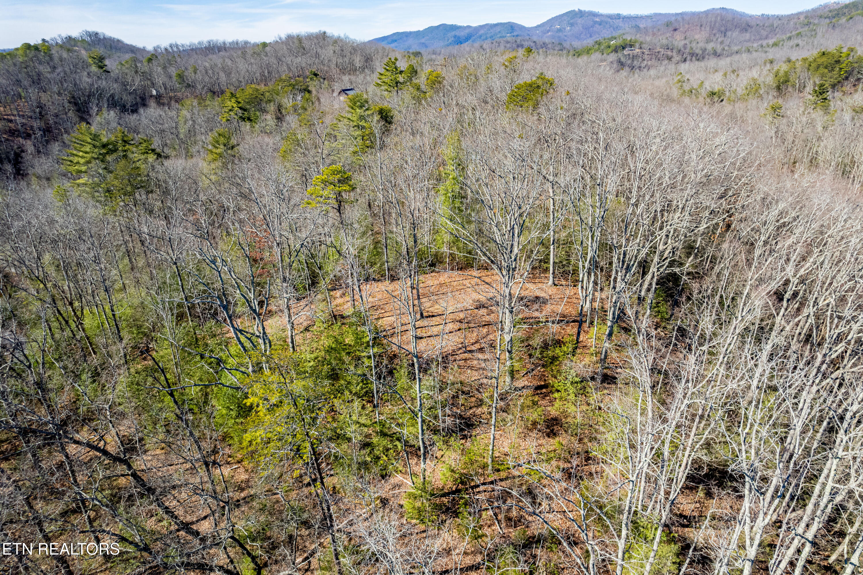 Raymond Way Cosby, TN 37722 - Photo 9 of 10 Raymond way, Cosby-20
