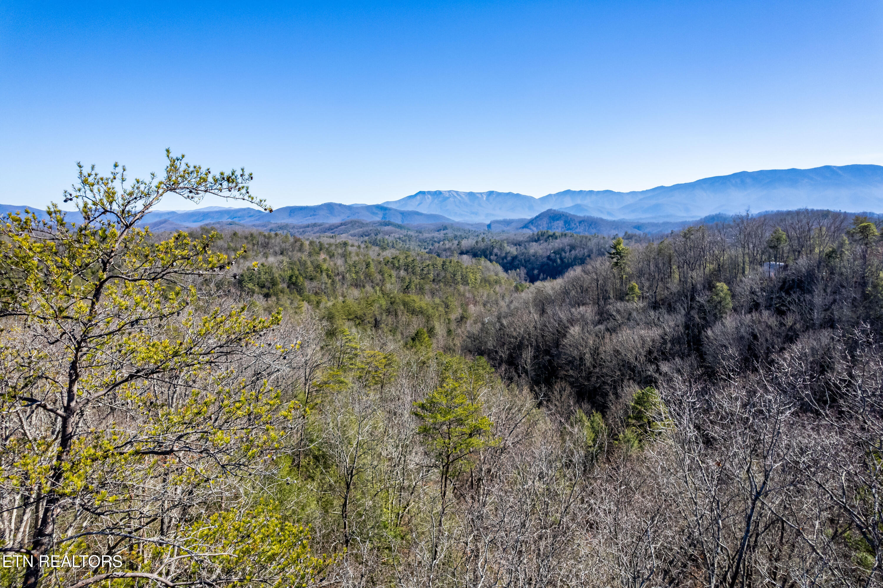 Raymond Way Cosby, TN 37722 - Photo 10 of 10 Raymond way, Cosby-24