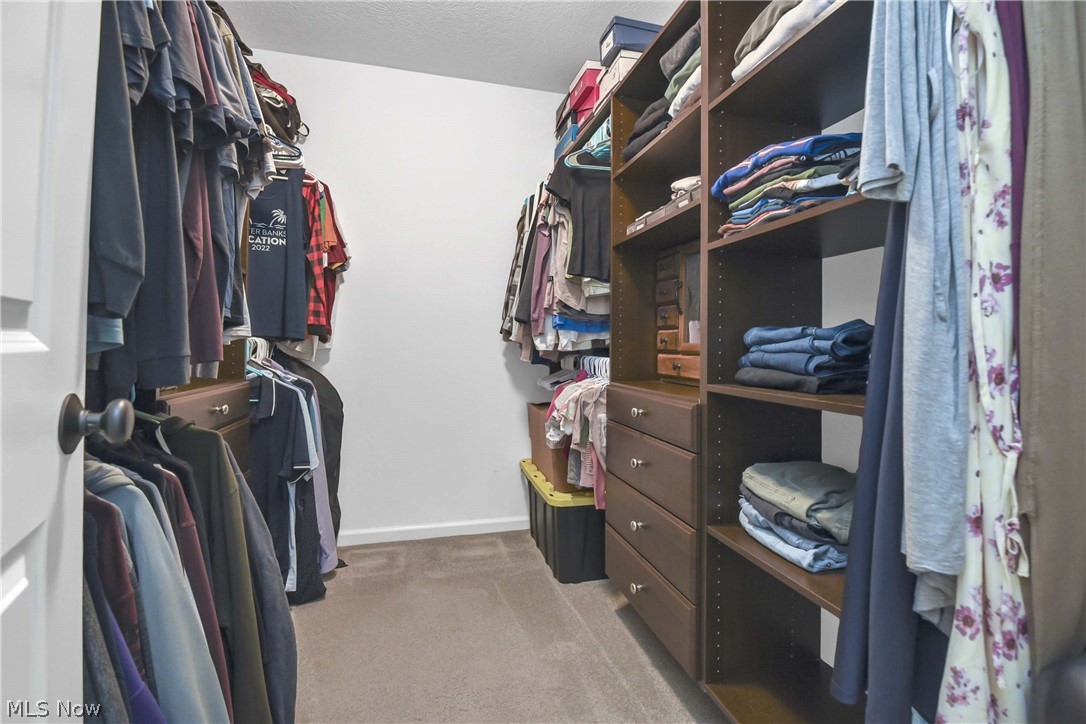 7599 Albion Road North Royalton, OH 44133 - Photo 23 of 45 Walk-in closet; closet organizer