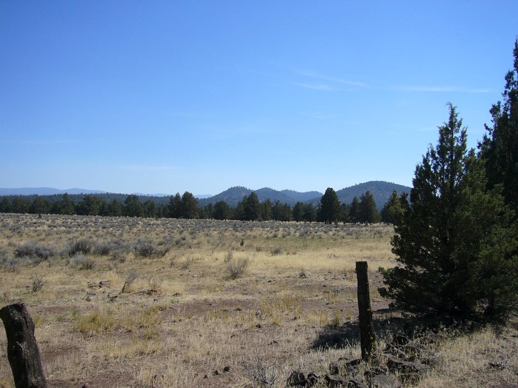 640 Acres Red Rock Road Macdoel, CA 96058 - Photo 4 of 24 Gallery Image 4