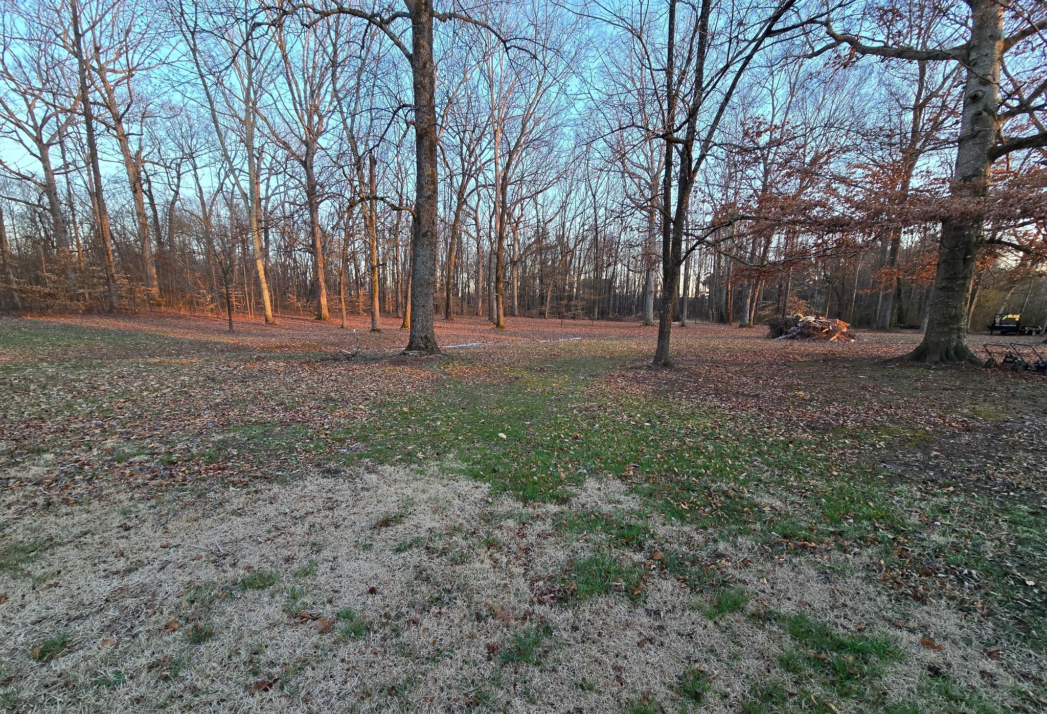 12 Hancock Road Fayetteville, TN 37334 - Photo 10 of 18 a backyard of a house with lots of green space