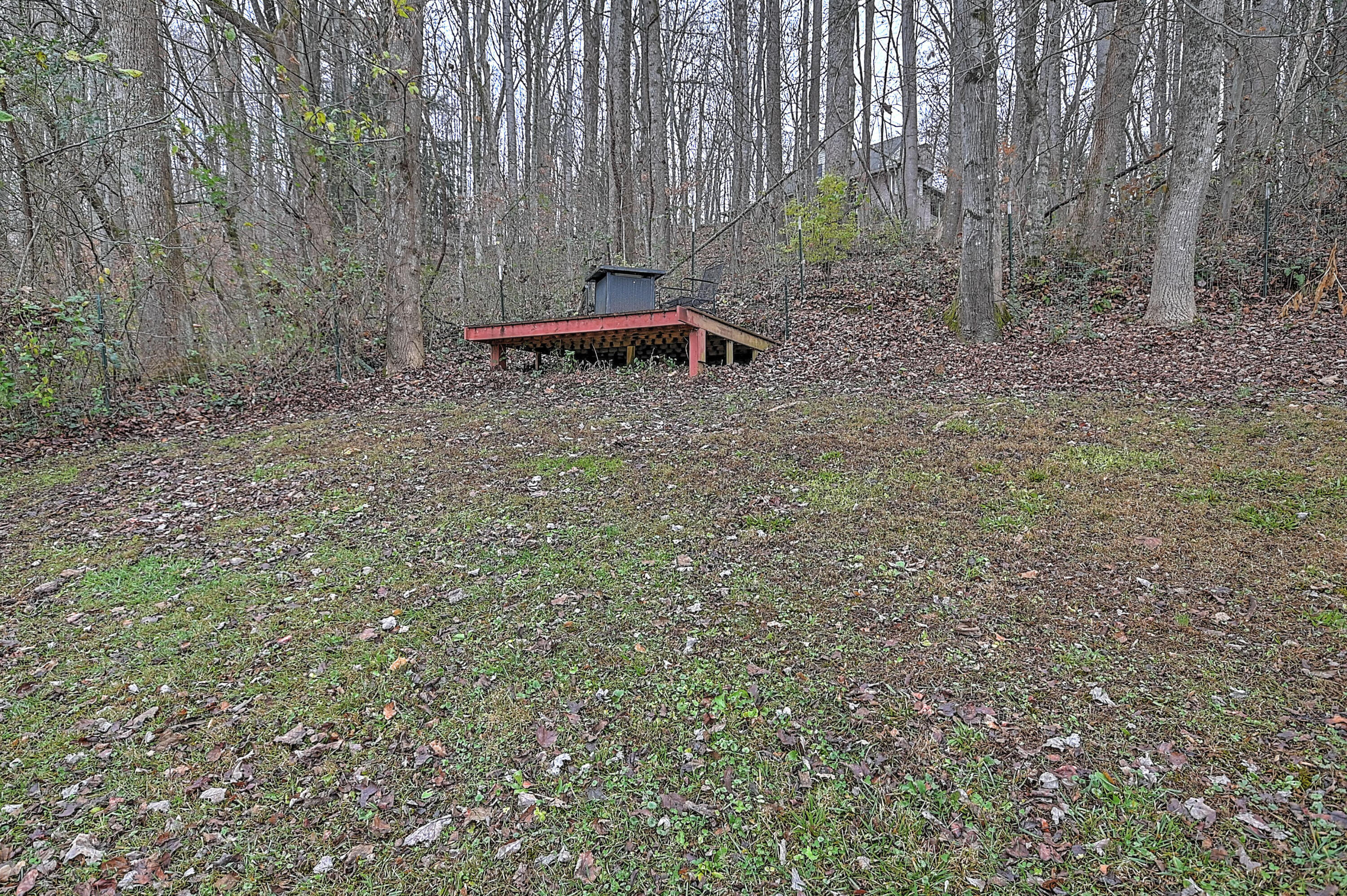 2422 Sinking Creek Road Johnson City, TN 37604 - Photo 32 of 35 2422 Sinking Creek White-33