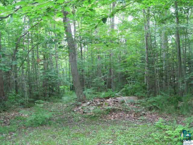 85885 Bark River Road Herbster, WI 54844 - Photo 20 of 20 Gallery Image 20