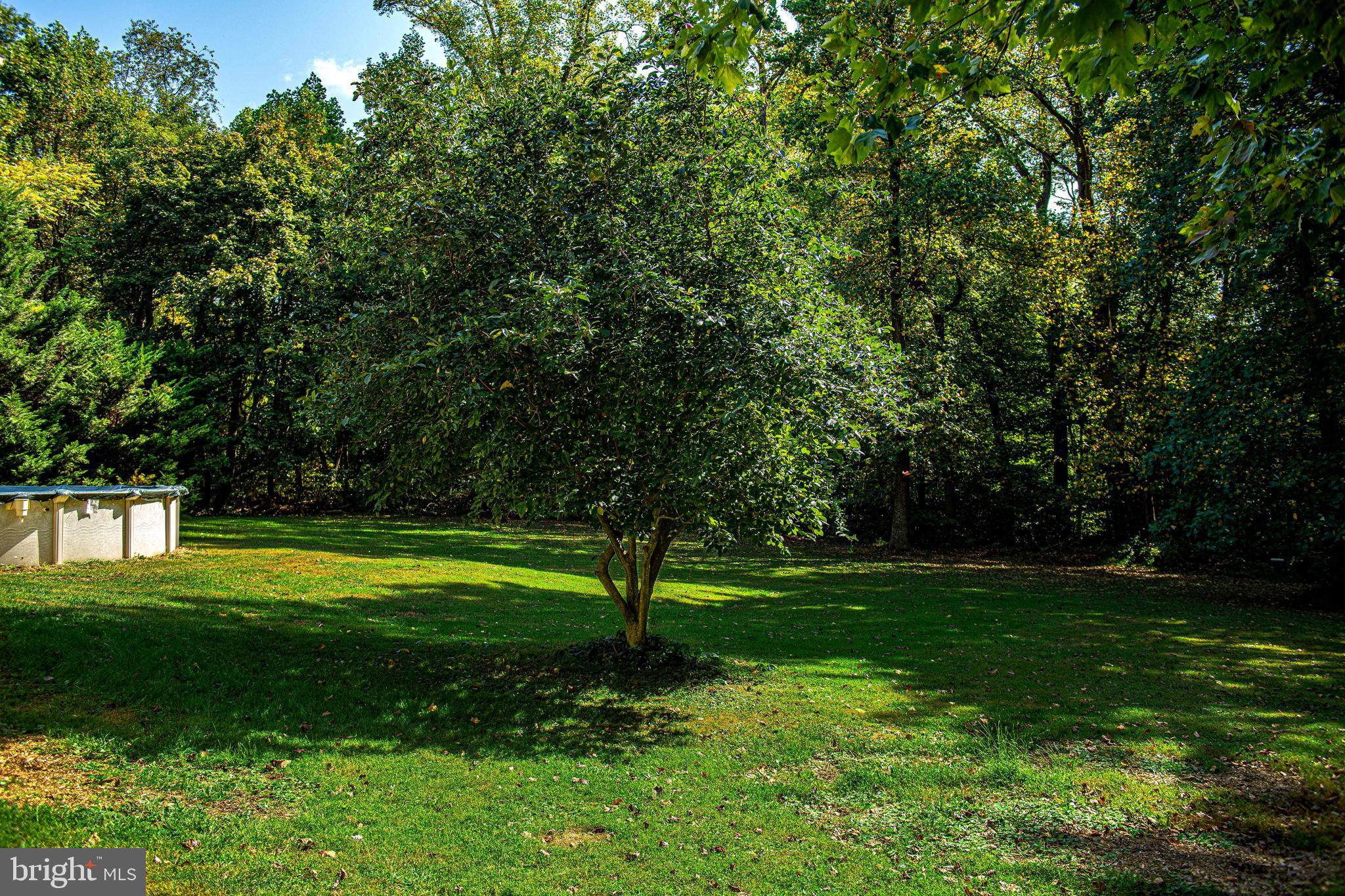 1446 Perryville Road Perryville, MD 21903 - Photo 44 of 49 SIDE YARD