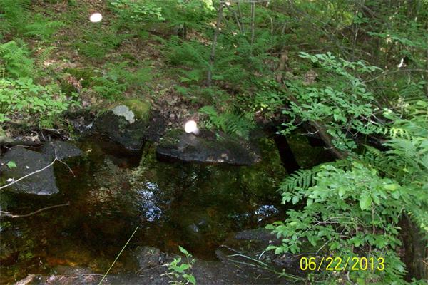 139 Colburn Road Charlton, MA 01507 - Photo 29 of 30 a view of a garden