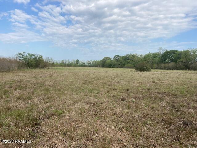 Tbd Jean Pierre Road Ville Platte, LA 70586 - Photo 1 of 4