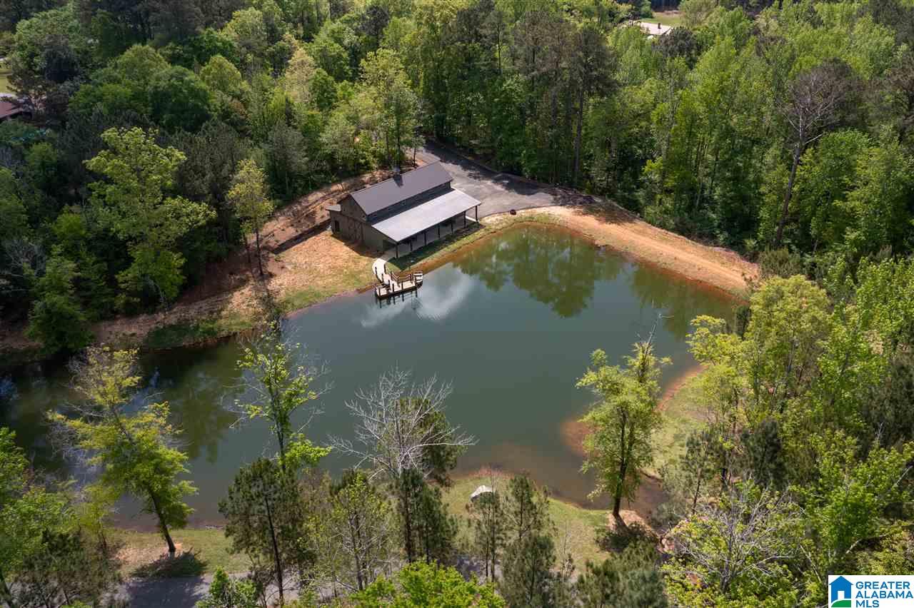 491 Murphrees Valley Road Springville, AL 35146 - Photo 50 of 50