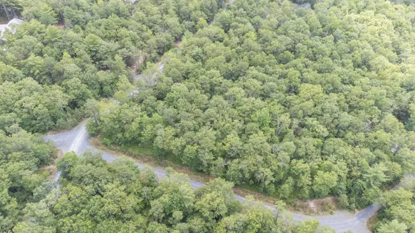 $62,500 | Tbd Birds Nest Road, Hinton, VA 22831