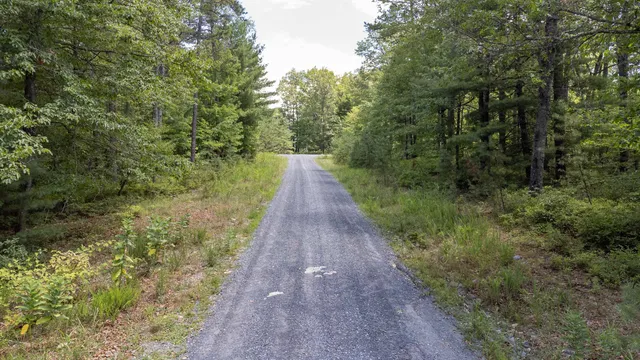 a view of a pathway both side of yard
