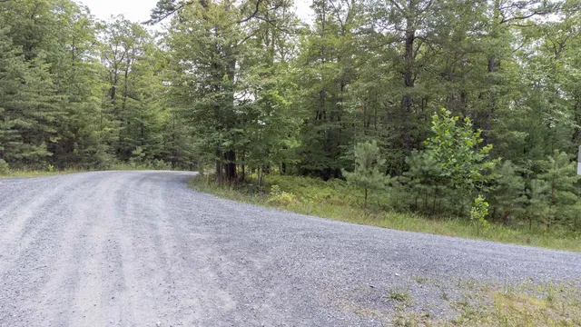 a view of a street with a trees on both side of the road