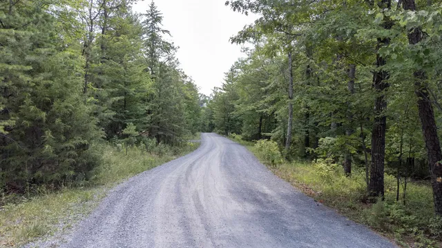 a view of a dirt road with trees in the background