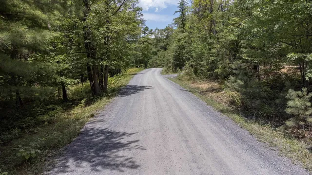 a view of a garden with pathway