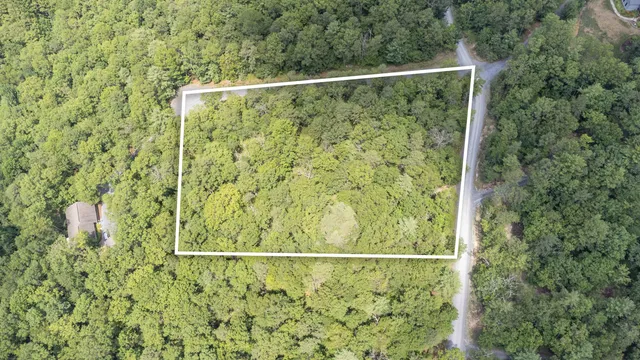 a view of a dry field with mountains in the background