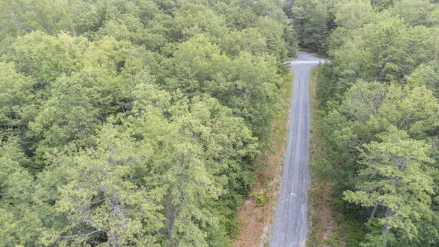 a view of a field of grass and trees