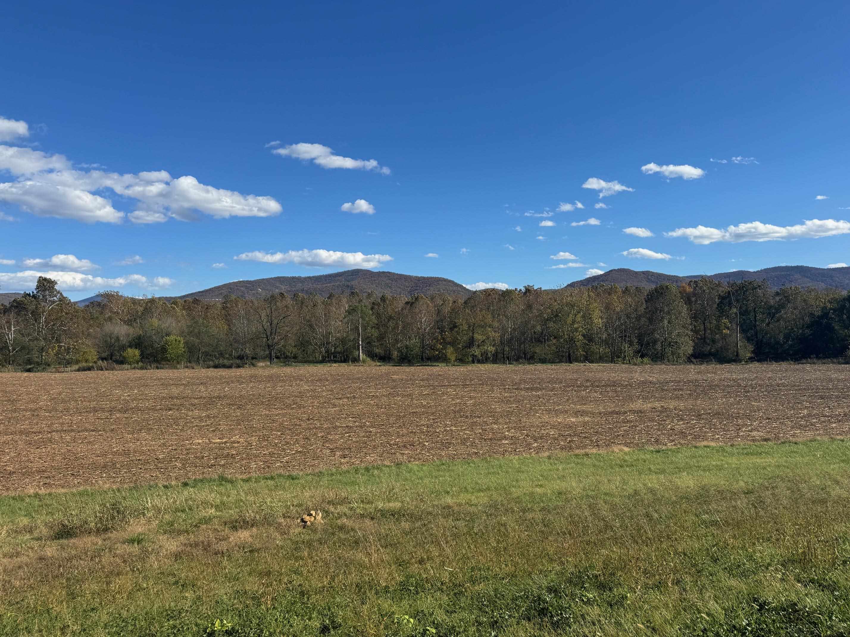 Tbd Lot 4 Tbd Road Elkton, VA 22827 - Photo 20 of 26 a view of an outdoor space and yard