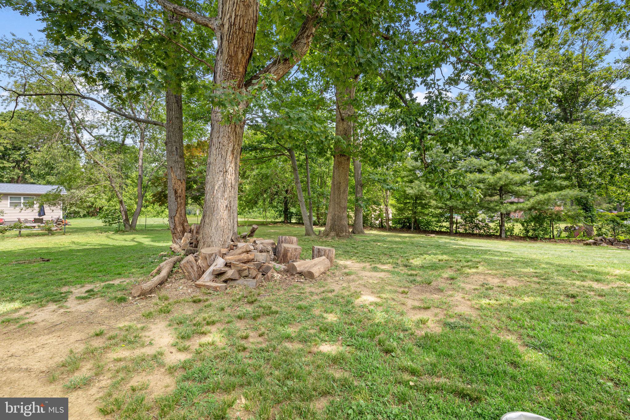 12237 Randle Lane Culpeper, VA 22701 - Photo 26 of 31 a view of a yard with a tree