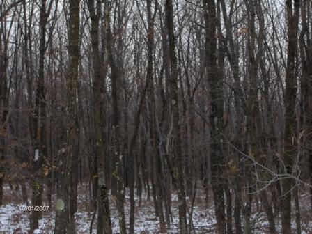 52 Gower Road Albrightsville, PA 18210 - Photo 8 of 8 View 4