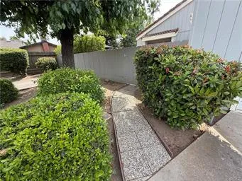 a backyard of a house with plants and large trees