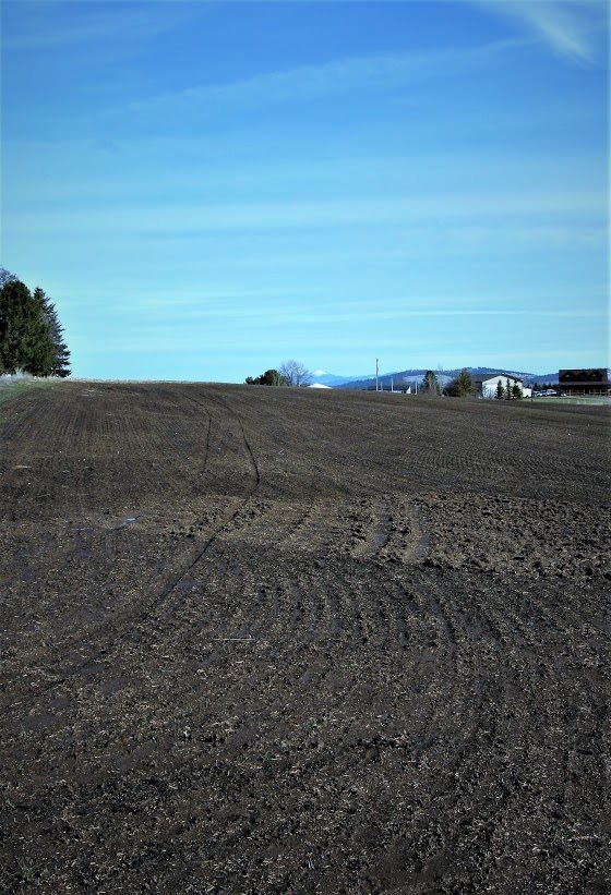 12122 East Stoughton Road, Unit R (APPX) Valleyford, WA 99036 - Photo 14 of 20