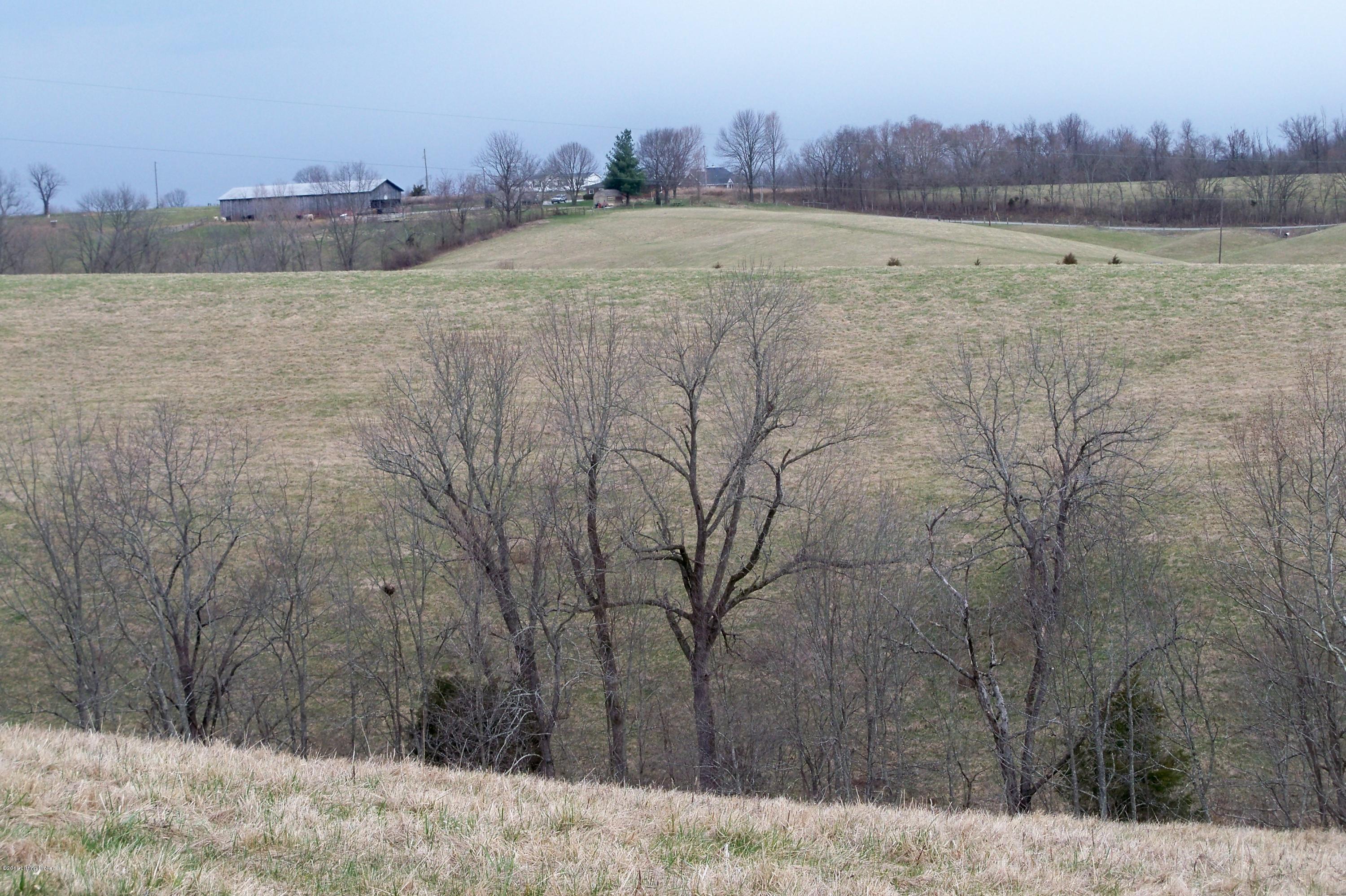1795 Timber Creek Road Bloomfield, KY 40008 - Photo 14 of 20 100_4619