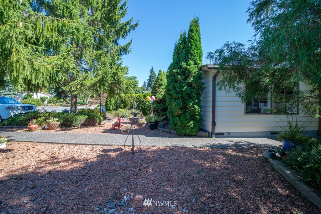 907 240th Place Southwest Bothell, WA 98021 - Photo 22 of 24 a backyard of a house with plants and trees