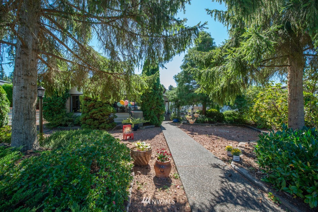 907 240th Place Southwest Bothell, WA 98021 - Photo 23 of 24 a view of an outdoor space with garden
