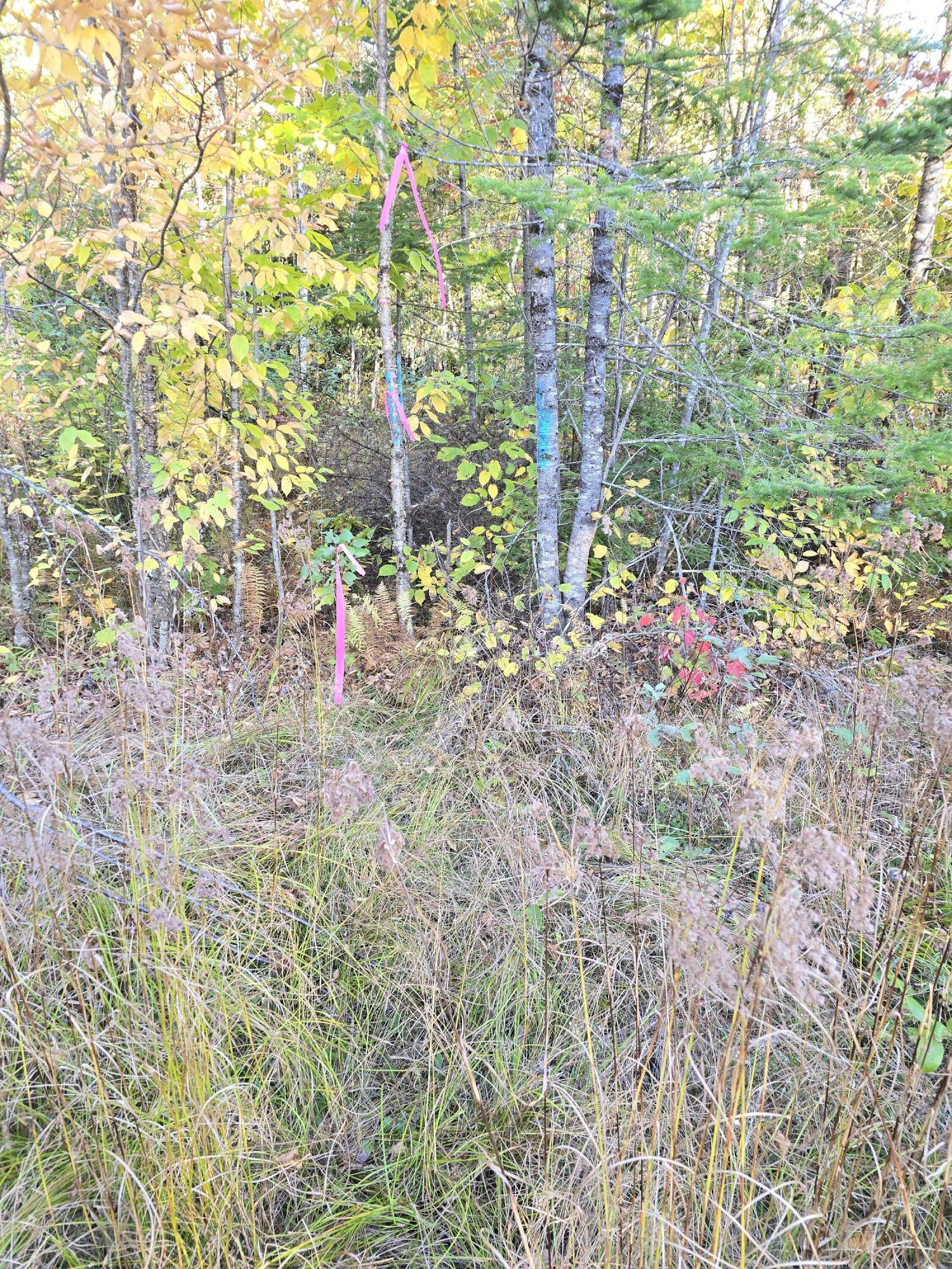 35-ac Off Winding Hill Road Crystal, ME 04747 - Photo 15 of 20 20240930_170109