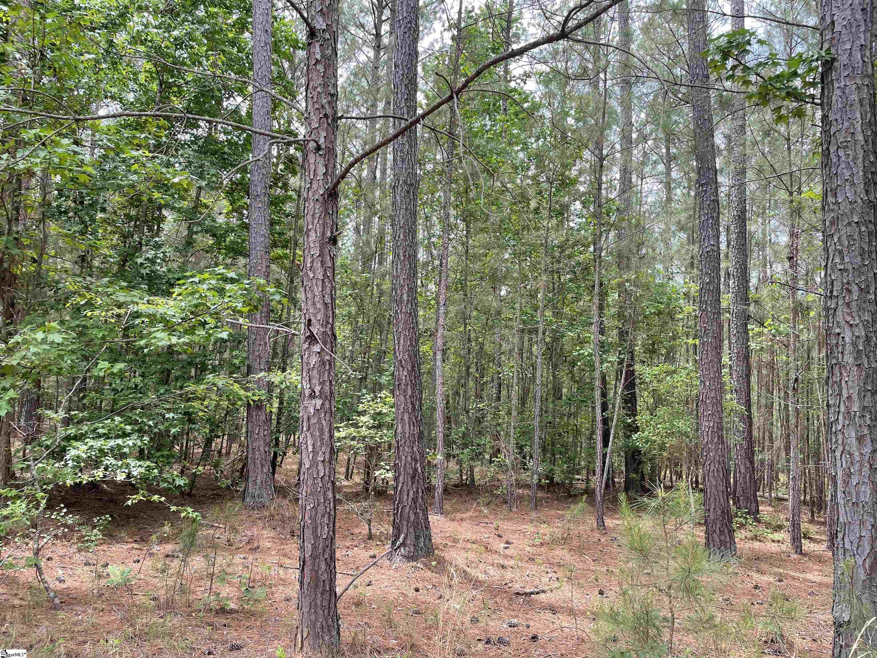 0 Mcintosh Road McCormick, SC 29835 - Photo 11 of 31