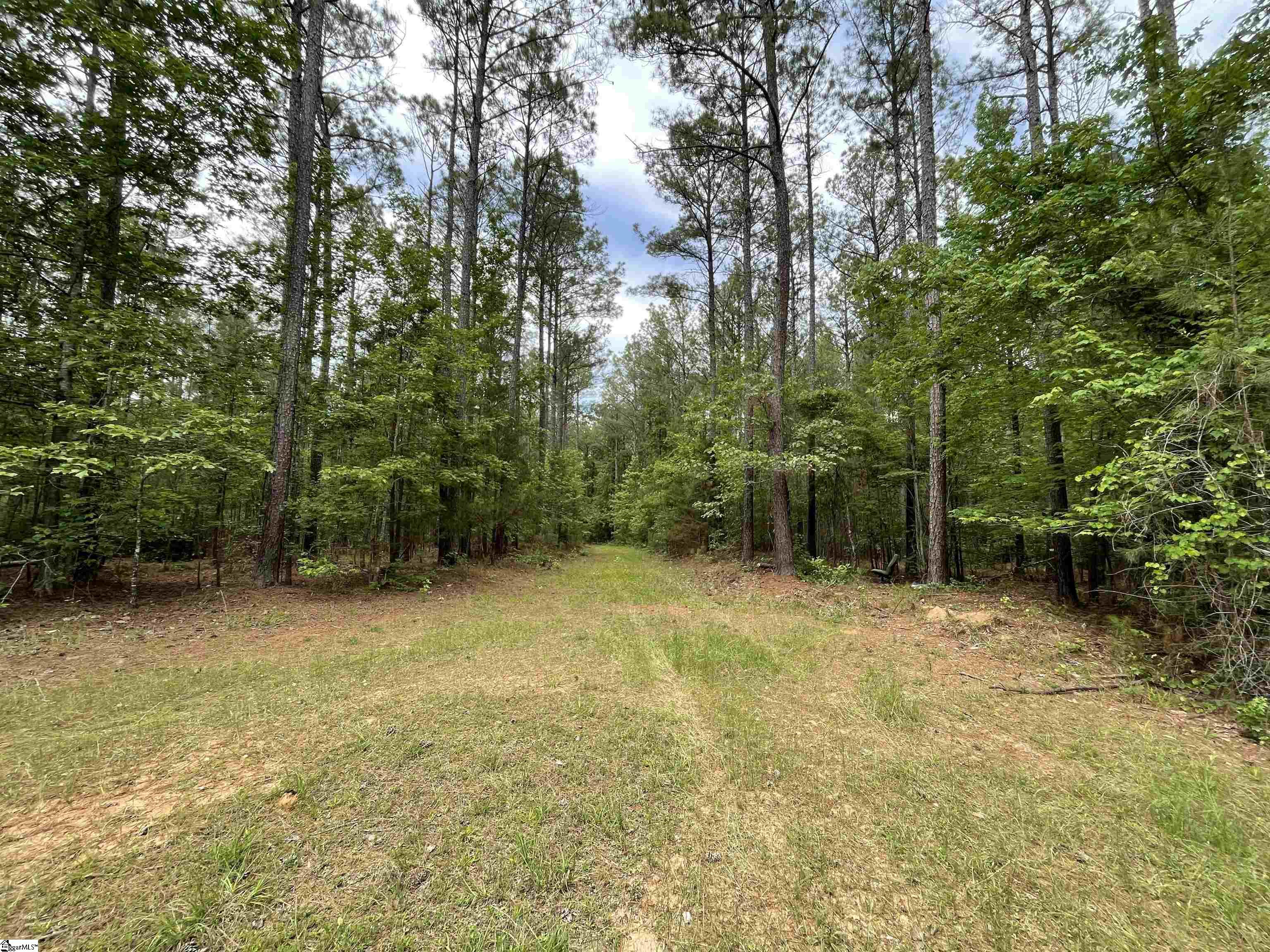 0 Mcintosh Road McCormick, SC 29835 - Photo 13 of 31